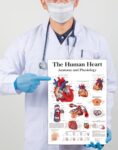 Tamatina Wall Posters | Educational Posters | Biology | Anatomy | Hospitals | Study | School | College | Laminated | Tearproof |Size-45X30 cms.a4790