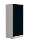 Interio by Godrej Slimline 2-Door Steel Almirah
