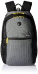 Gear Basic 19 Ltrs Classic Grey Casual Standard Backpack (Bkpecono10412)