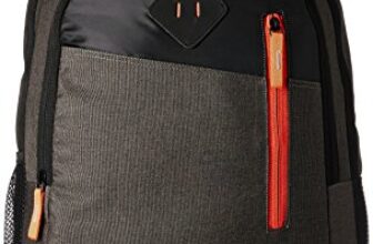 Gear 20 Cms Grey And Orange Casual Standard Backpack (Bkpdual000406), 30 Litre