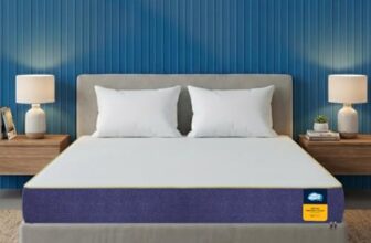 Centuary Mattresses Sleepables 8-Inch Queen Size Orthopedic Memory Foam Back Support Pressure Relieving Roll Pack High Resilience (HR) Foam Mattress | 10 Years Warranty | (72x60x8)