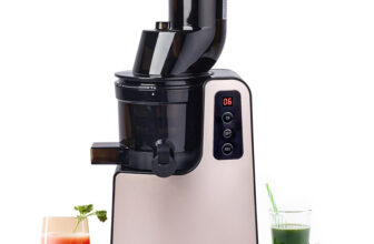 Hamilton Beach 67601SJ 200 W Juicer(67601SJ | 2 Jars | Champagne Gold)