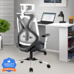 ASTRIDE Ergofit BIS Certified Ergonomic High Back, Synchro Tilt Mechanism Mesh Office Adjustable Arm Chair(Grey, Optional Installation Available)