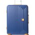 Wiki Zine 8 Wheel Hardside Polycarbonate Trolley,Large,Champagne
