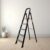 Bonkaso Climb Lite Pro Foldable Aluminium Ladder, Multipurpose Ladder for Home & Office, Anti-Skid Steps, Heavy Duty Platform, 5 Steps, 5 Years Warranty (Black – 165h x 49w Cms)