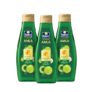 Parachute Advansed Amla Hair Oil with Vitamin E | 500ml x 3| Amla & Vitamin E | For All Hair Types