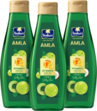 Parachute Advansed Amla Hair Oil with Vitamin E | Amla & Vitamin E | For All Hair Types Hair Oil(1500 ml)