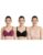 Amazon Brand – Symbol Women’s Cotton Stretch Padded Wire Free Medium Coverage T-Shirt Bra (Pack of 3) (BRA-13 Cont_Blck-Blush-Wine_38D)
