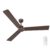 Bajaj Classico Sleek Plus 5S 1200MM (48”) BLDC Ceiling Fan with Remote | BEE 5 Star Rated Energy Efficient | Power Saving | Sleek Compact Design | High Air Delivery |2-Year Warranty |Walnut Wood