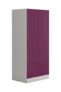 Interio by Godrej Slimline 2-Door Steel Almirah