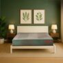 Repose Eyelidz Spine Pro Orthopaedic Memory Foam Mattress (Double, 75X48X6)