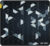 Ant Esports Prism Non Slip Base Mousepad(Black)