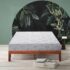 Coir FIT Euphoria Normal Top 6′ Inch Queen Size Bonell Spring Mattress (80X70X6, RED)
