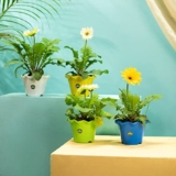 TrustBasket Blossom Pot 6-inch Table Top Planter Pot (Pack of 4) | Heavy Duty Plastic Indoor and Outdoor Planter for Home Decor
