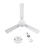 RR Signature Audie Smart High Speed Ceiling Fan for Home & Office, Works with Alexa, App, & Remote with 2 Years Manufacturer Warranty (Mirage White)