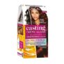 L’Oreal Paris Casting Crème Gloss Conditioning Hair Color Ultra Visible, 100G + 60Ml – Cherry Burgundy 566 (Pack Of 1)