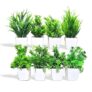 MIMICROPS Artificial Plants with Pot 8 Pack | Realistic Looking | Multi Variety | Durable Plastic | No Maintenance | Home Decor | Dimensions: 5 cm X 15 cm (Pack of 8)