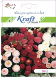 Daisy Pomponette Mix Flower Seeds By Kraft Seeds