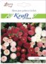 Daisy Pomponette Mix Flower Seeds By Kraft Seeds