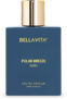 BELLAVITA POLAR BREEZE Perfume for Men|Citrusy & Woody Notes|Long Lasting Fragrance| Eau de Parfum  –  100 ml(For Men)