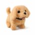 Amazon Brand – Symbol Women’s Cotton T-Shirt and Jogger Night Suit | Two Piece Set| Regular Fit (Available in Plus Sizes) (SLO-02 Cont_Moon Black_XL)