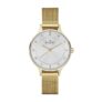 Skagen Anita Lille Gold Watch Skw2150