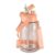 MILTON Eros 1000, 2-in-1 Sip or Gulp Lid Water Bottle 960ml | Unbreakable – Crystal Clear Plastic | Leak-Proof & BPA-Free, One-Click Open | Ideal for School, Office, Gym & Travel Use, Peach