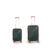 CRUISE Forest Oak Travel Trolley Bags Set (20+24 Inch)| Hard Shell Expandable Suitcases with 8 Spinner Wheels & TSA Lock | Cabin and Check-in Lightweight Luggage Bag | Adjustable Handle (Set of 2)
