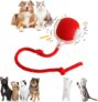 LEAFZY Smart Rolling LED Pet Ball – USB Charging, Motion-Activated for Indoor Play, Fun for Kittens, Puppies & Small Dogs, Enhances Activity & Play3